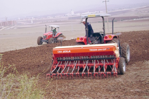 Une prévision d'un million de quintaux