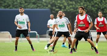 Les Verts fin prêts