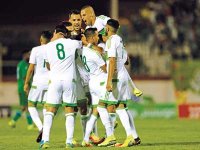 L'heure de vérité pour Rajevac et les Verts