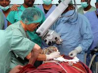 « Les maladies neurodégénératives vont dépasser le cancer et les maladies cardiovasculaires »