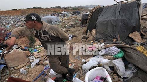 Une richesse à exploiter