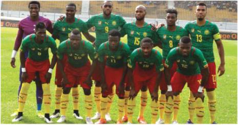 Une seule séance d'entraînement pour le Cameroun