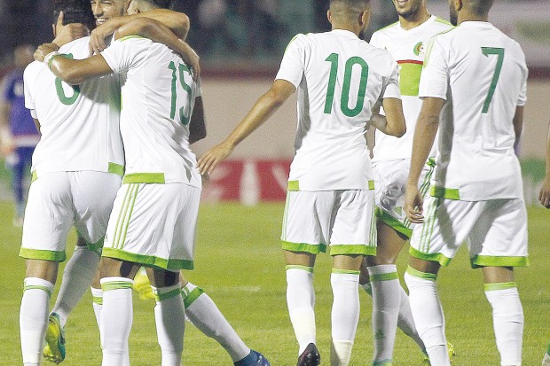 Les Verts veulent dompter les