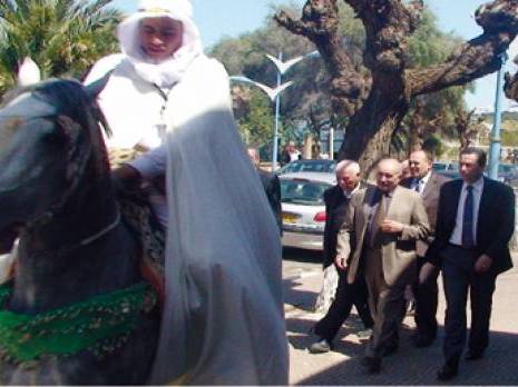 Politique d'el batata (Législatives 2012)