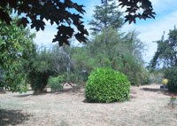 Parc des Grands Vents d'Alger