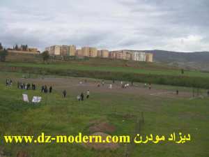 صور من مدينةعمي موسى