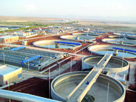 «Le processus d'acquisition de savoir-faire est très rapide chez nous»