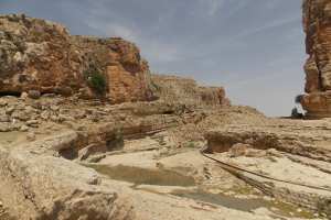 قسطل  تبسة منطقة منسية بتاريخ مهمش!!