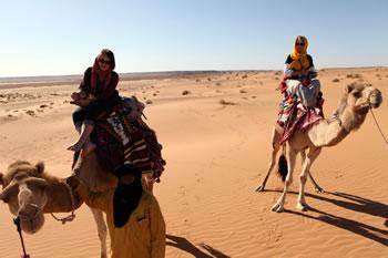 Les paradoxes d'un secteur en jachère