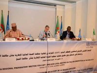 Pour une stratégie commune des pays africains