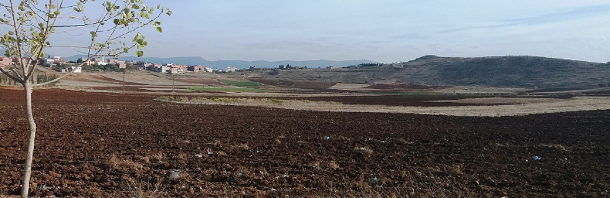 حوض البلقاء ... بلقاء أميرة من أميرات العروش الغابرة بالسواحلية