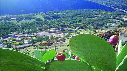 Le wali fustige les élus de la commune de Béni Bahdel