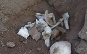 أعضاء بشرية ورفات موتى تحت الردوم بمزبلة عمومية في السطارة بجيجل