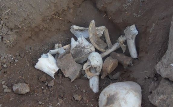 أعضاء بشرية ورفات موتى تحت الردوم بمزبلة عمومية في السطارة بجيجل