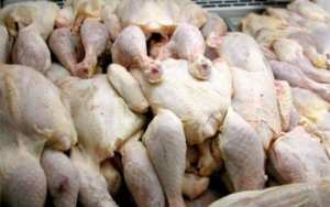 احباط محاولة اغراق الجلفة بأزيد من 17 قنطارا من الدجاج الفاسد