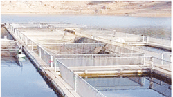 والي الطارف يعلن عن تحفيزات كثيرة للمستثمرين