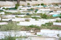 السلطات ترفض تحويل رفاة شهداء إلى المقبرة الجديدة بعنابة