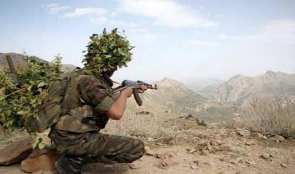 الجيش يدمّر 