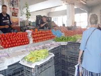 La pomme de terre a atteint des niveaux de prix sans précédent : plus de 200% d'augmentation