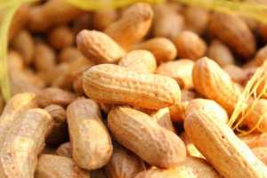 الفستق السوداني واستخداماته