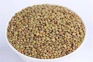 العدس  التيارتي  يدخل السوق الوطنية وينافس المستورد