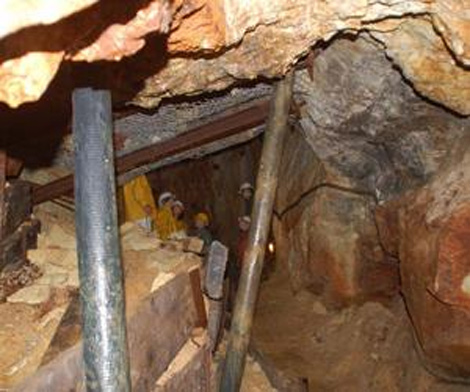 وفاة الضحية ال82 للطاعون الأبيض بباتنة