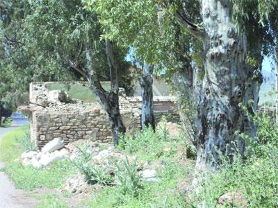 Bouzaher ou les stigmates de la souffrance