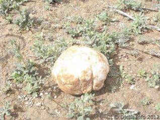 ميزان الانتخابات ... 