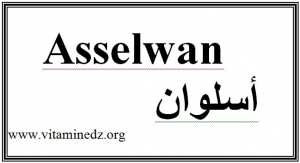 كلمة أسلوان Asselwan  من التراث البربري بمدينة الغزوات تلمسان