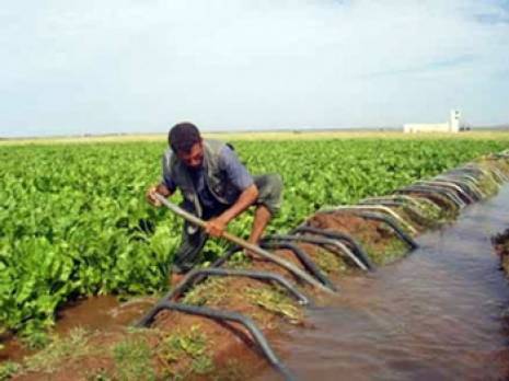 L'appel de détresse des agriculteurs