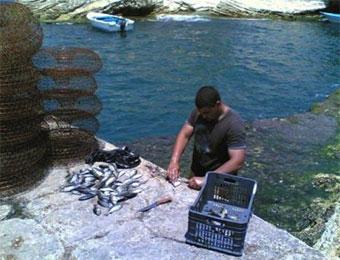 مليون دج لتعويض الصيادين عن فترة الراحة البيولوجية بالشلف