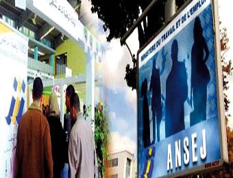 تخصيص 300 مليار سنتيم لتمويل مشاريع الشباب البطال في بسكرة