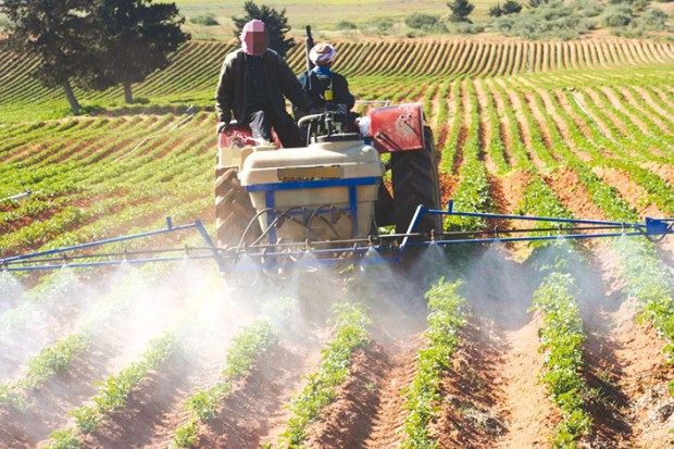 Plus de 50 investisseurs bloqués à Rechaiga