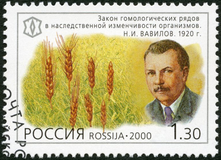 Nicolaï Vavilov (1887-1943) un visionnaire