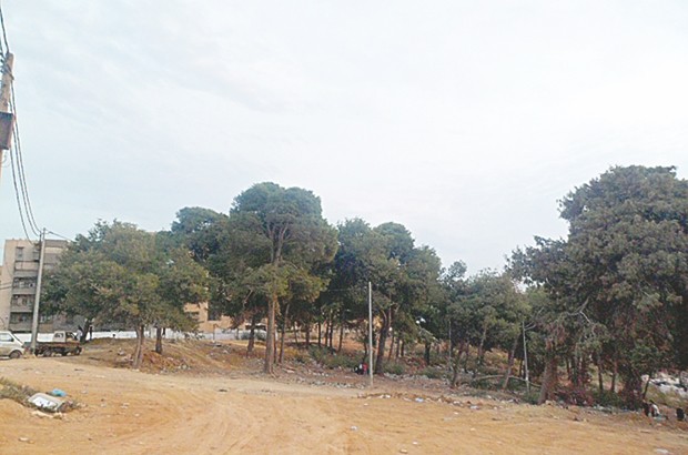 Une forêt de détente à Aïn Melha