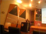 Thématiques autour des infections fongiques