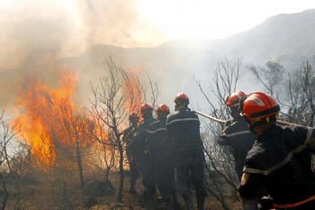 Aucune victime à déplorer