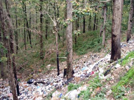 Wilaya de Tizi Ouzou : le patrimoine forestier se meurt