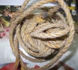 انتحار أربعة أشخاص في بسكرة ومستغانم وتيسمسيلت وعين الدفلى