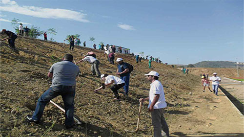 Célébration de la Journée nationale de l'arbre