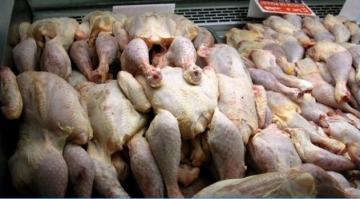 8 قناطير من الدجاج الفاسد موجّهة للترويج بالمسيلة