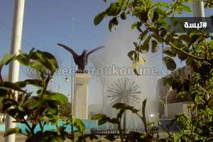 تحرير أربع جامعيات تم تحويلهن إلى ملهى بتبسة