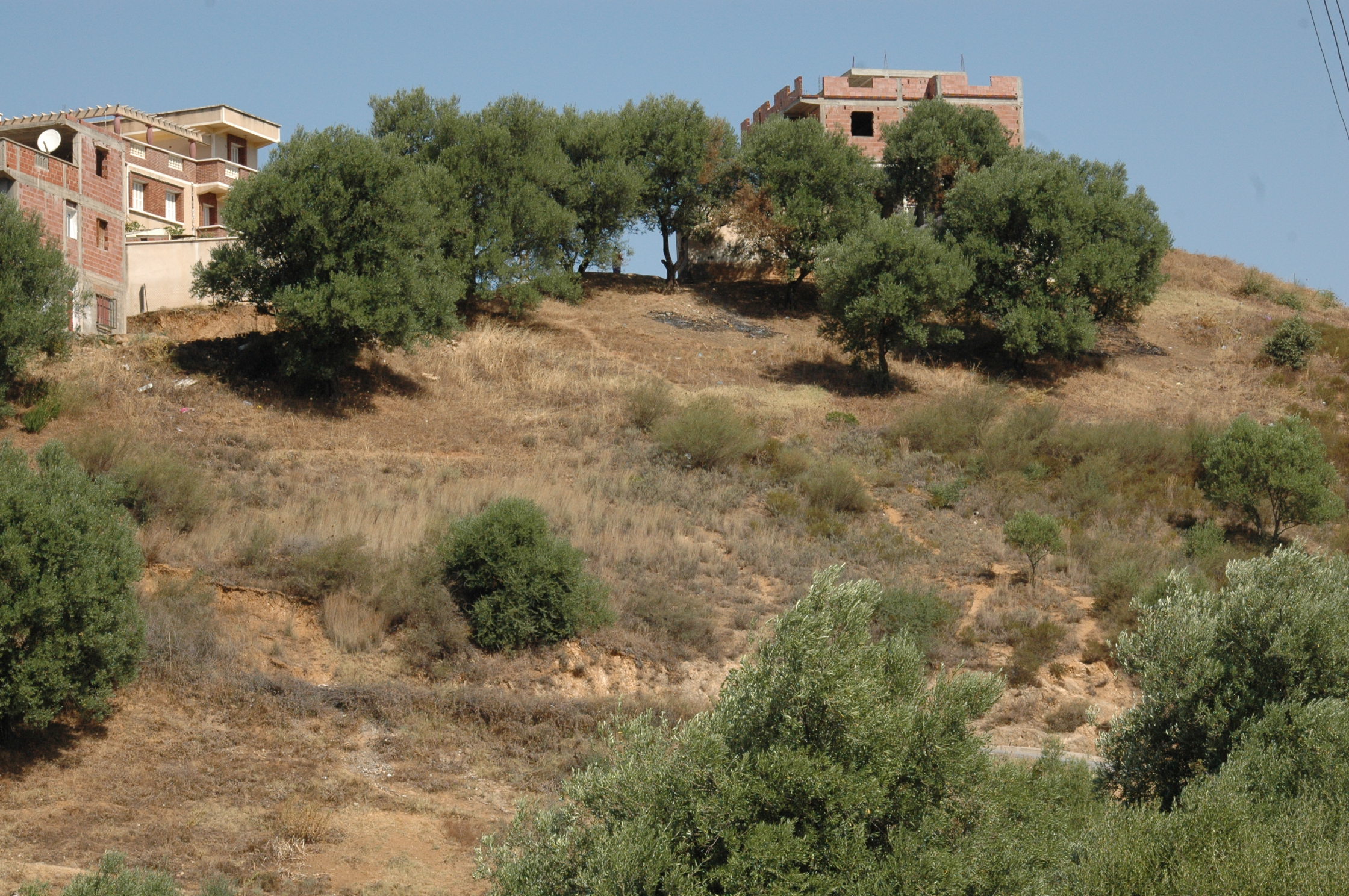 L'entrepreneur enfin libéré