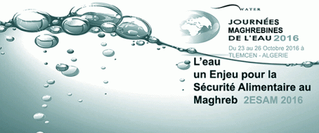 L'eau, un enjeu pour la sécurité alimentaire au Maghreb