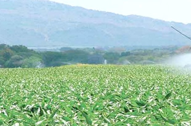 Plusieurs projets d'investissement dans la filière agroalimentaire