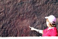 Les peintures rupestres font encore rêver