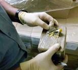 الأمن يحجز 20 كلغ كيف معالج بالبليدة