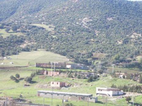 Wilaya de Bouira : les oubliés de Dechmia