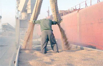 L'Algérie toujours tête de liste