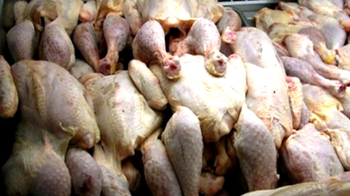 Volailles impropres à la consommation
